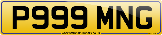P999 MNG