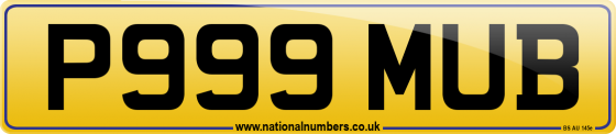 P999 MUB