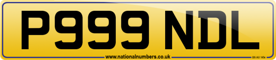 P999 NDL
