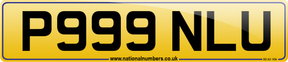 P999 NLU