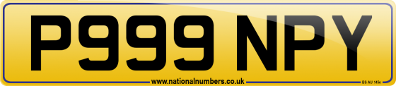 P999 NPY
