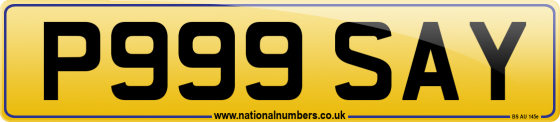 P999 SAY