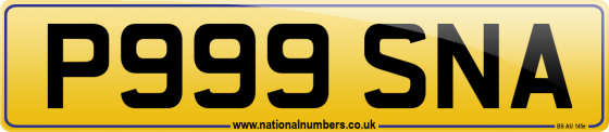 P999 SNA