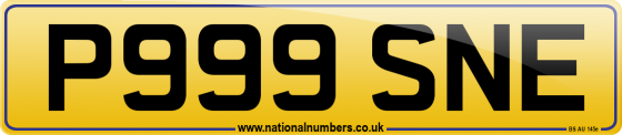 P999 SNE