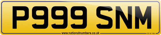 P999 SNM