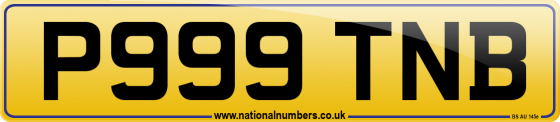 P999 TNB