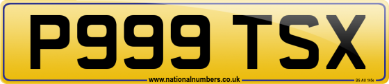 P999 TSX