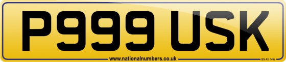 P999 USK