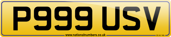 P999 USV