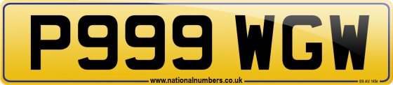 P999 WGW