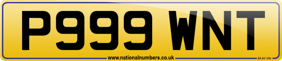 P999 WNT