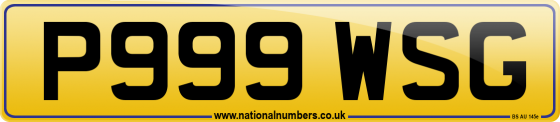 P999 WSG