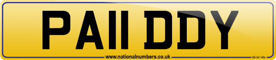 PA11 DDY