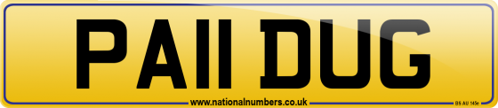 PA11 DUG