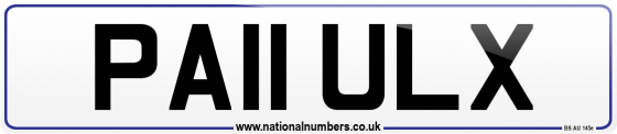 PA11 ULX
