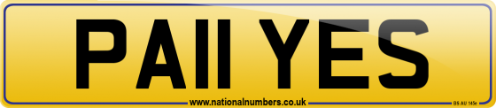 PA11 YES