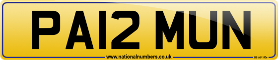 PA12 MUN