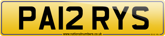 PA12 RYS