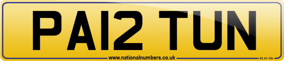 PA12 TUN