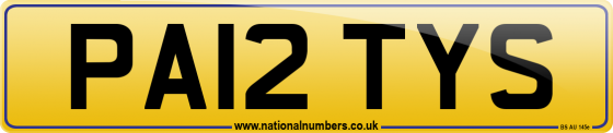 PA12 TYS