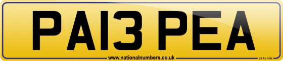 PA13 PEA