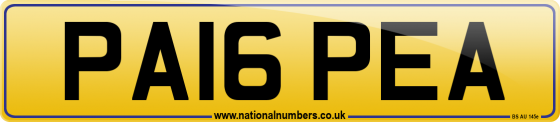 PA16 PEA