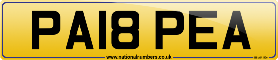 PA18 PEA