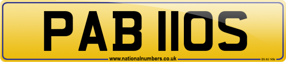 PAB 110S