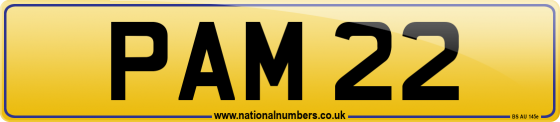 PAM 22