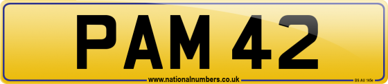 PAM 42