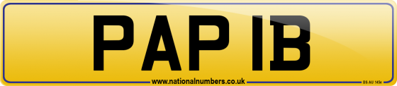 PAP 1B