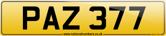 PAZ 377
