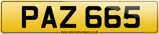 PAZ 665