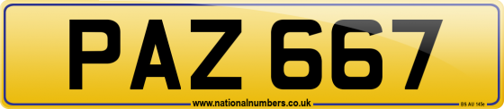 PAZ 667