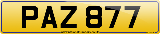 PAZ 877