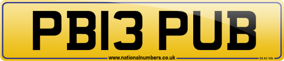 PB13 PUB
