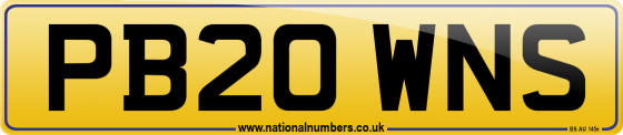 PB20 WNS