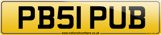 PB51 PUB