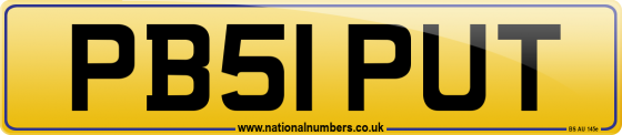 PB51 PUT