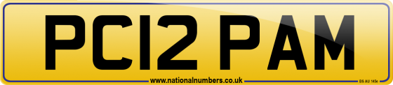 PC12 PAM