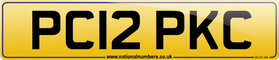 PC12 PKC