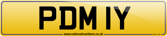 PDM 1Y