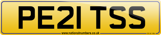 PE21 TSS