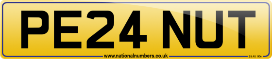 PE24 NUT
