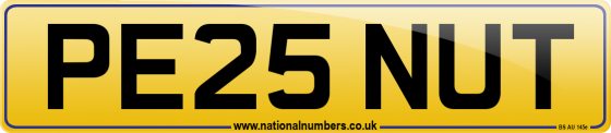 PE25 NUT