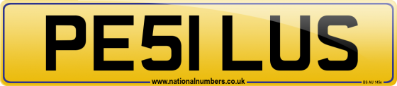 PE51 LUS