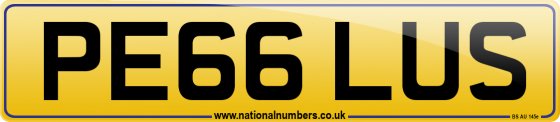 PE66 LUS