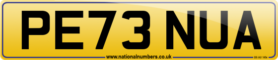 PE73 NUA