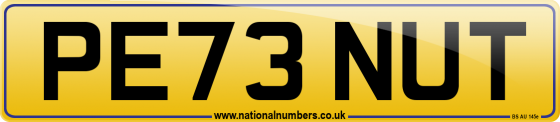 PE73 NUT