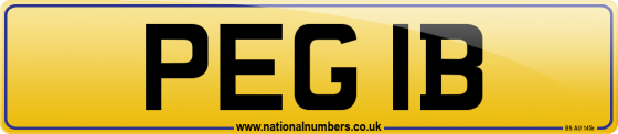 PEG 1B